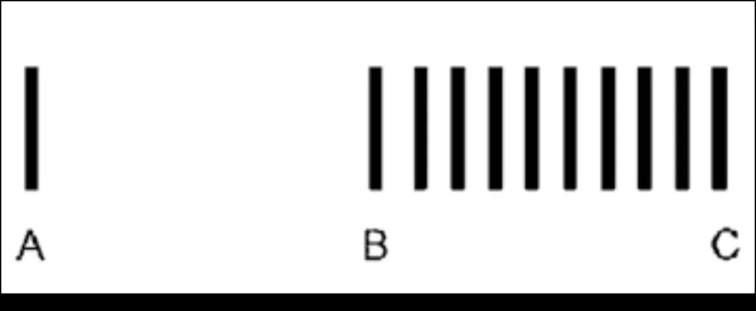 1080x444_15de3b6967c6a1e7.jpg