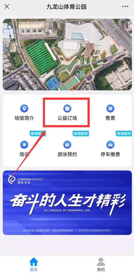 447x912_3ac8211298dce83d.jpg