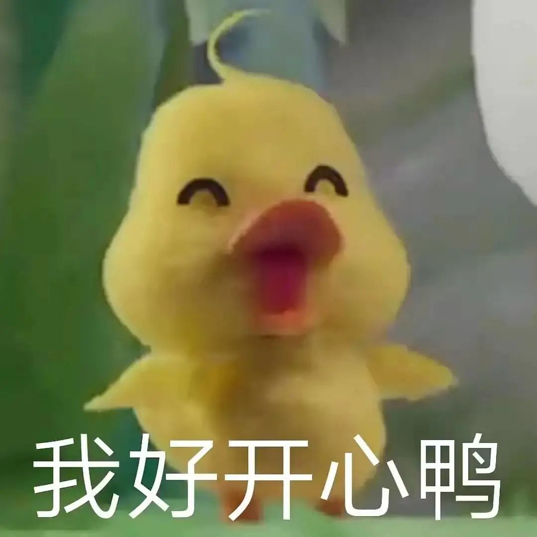 1080x1080_767f332a6512bd43.jpg