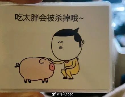 440x342_2694a78032bb90e8.jpg