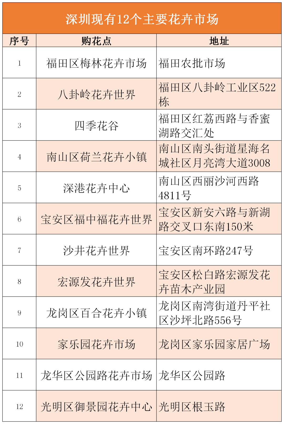 1080x1610_61dc29416f4922f4.jpg