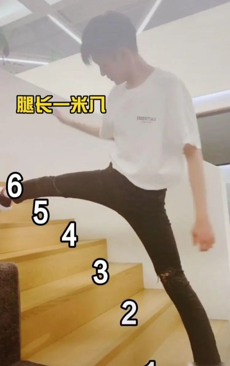 750x1194_5d028bee8613985e.jpg