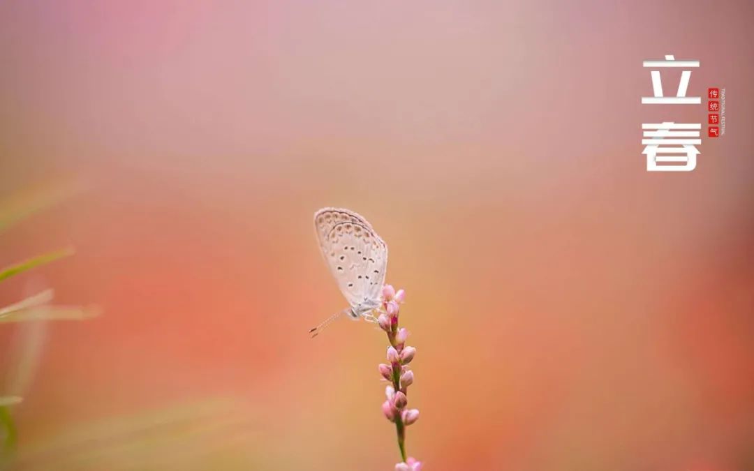1080x675_c76f891a34173cb3.jpg