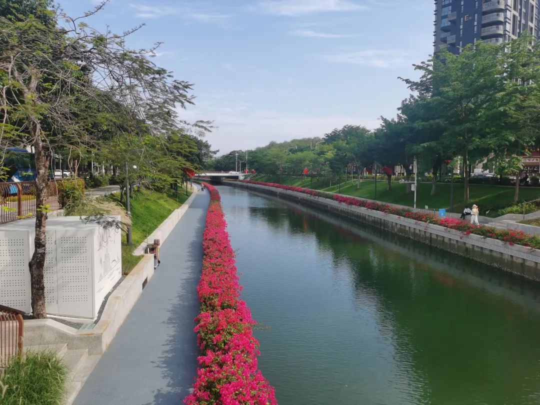 1080x810_5ab4b4883c59dc04.jpg