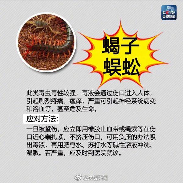600x600_27ffca12e4da3b7f.jpg