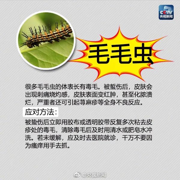 600x600_36b97a0f70efdf2e.jpg