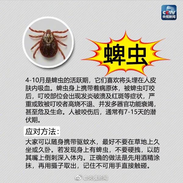 600x600_509c46fd8e296a06.jpg