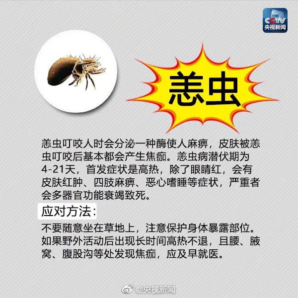 600x600_b86fa1a0c81e728d.jpg