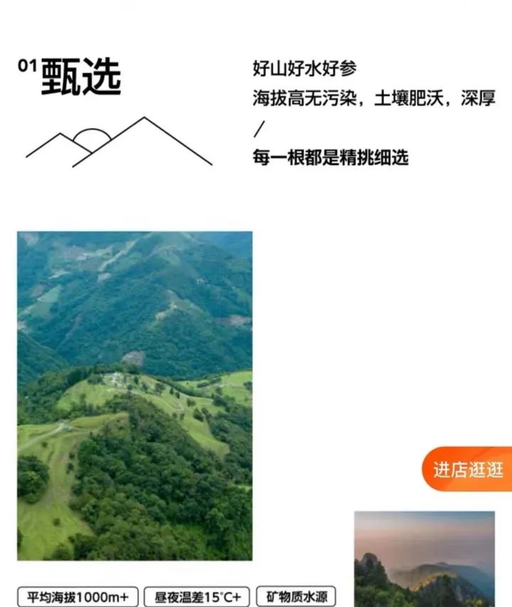 720x853_1c58e6b13416a75f.jpg