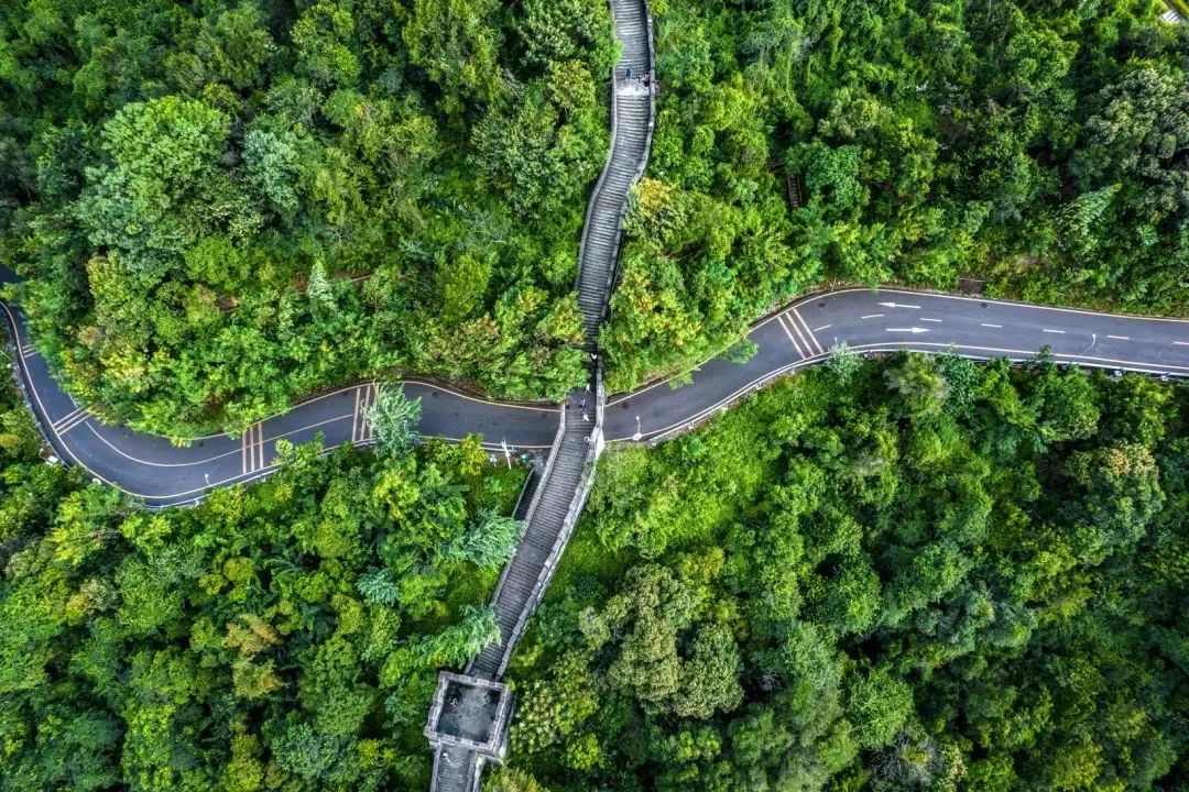 640?wx_fmt=jpeg&wxfrom=5&wx_lazy=1&wx_co