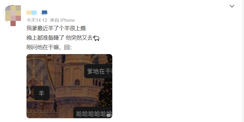 793x397_a1f7ed20d2ddea18.jpg