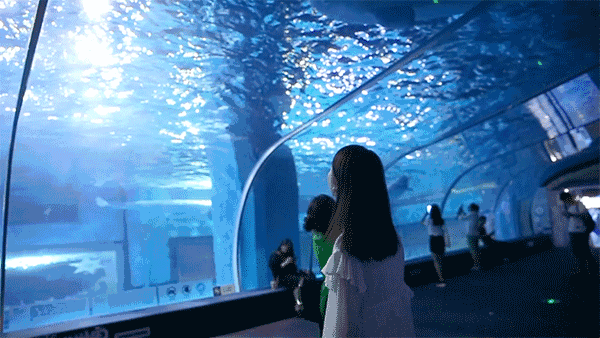 600x338_3ff72ca19f61408e.jpg