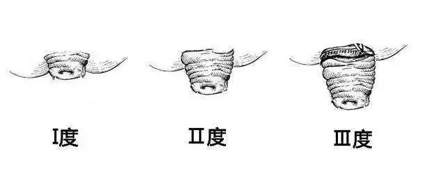 640x246_2f0c2d9602e74f10.jpg