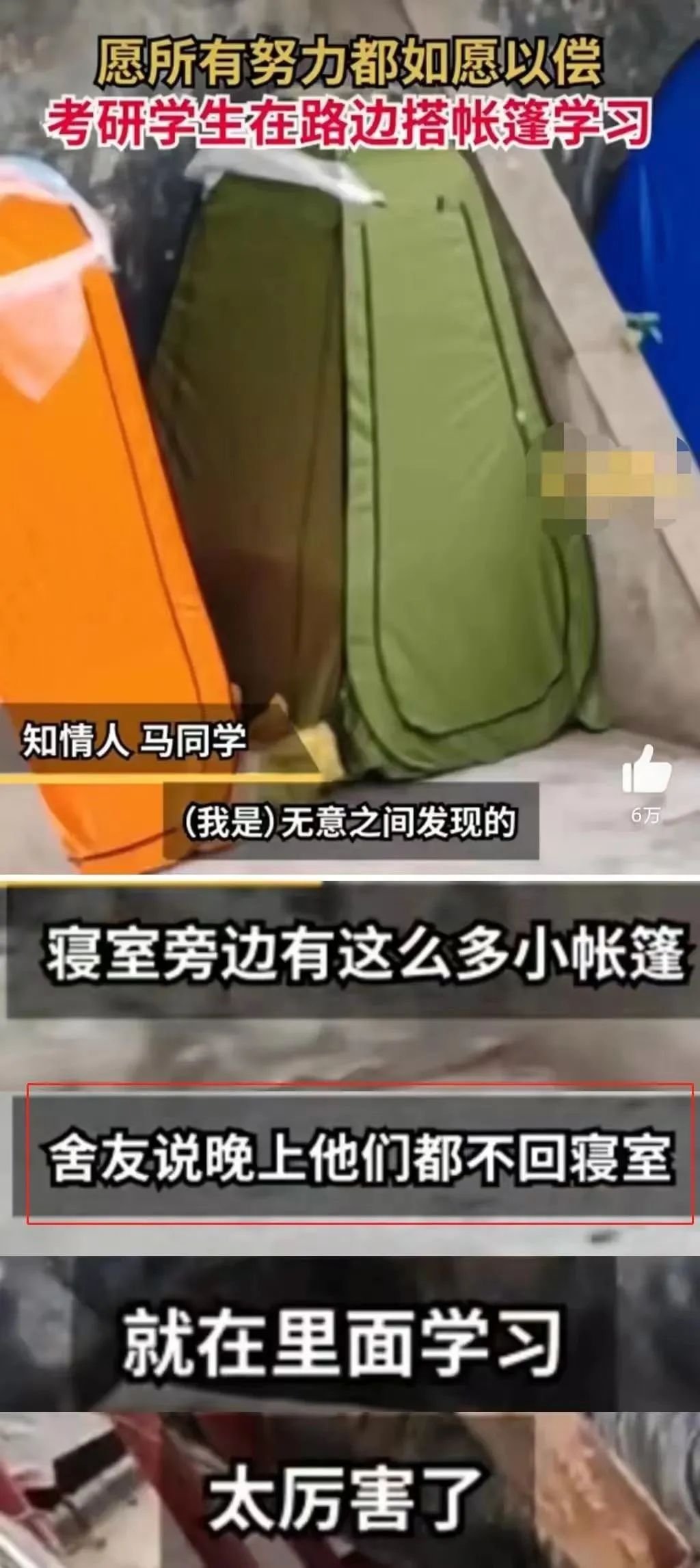 1024x2293_1b1e8327e4da3b7f.jpg