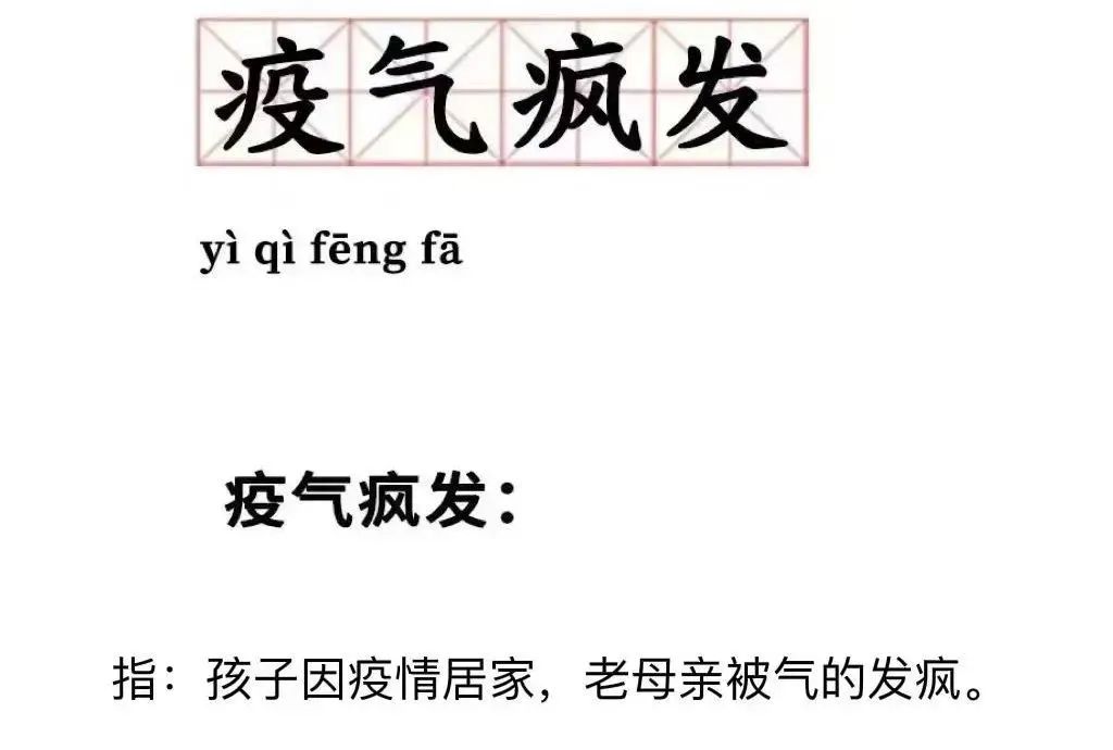 1024x690_c44f977d92cc2275.jpg