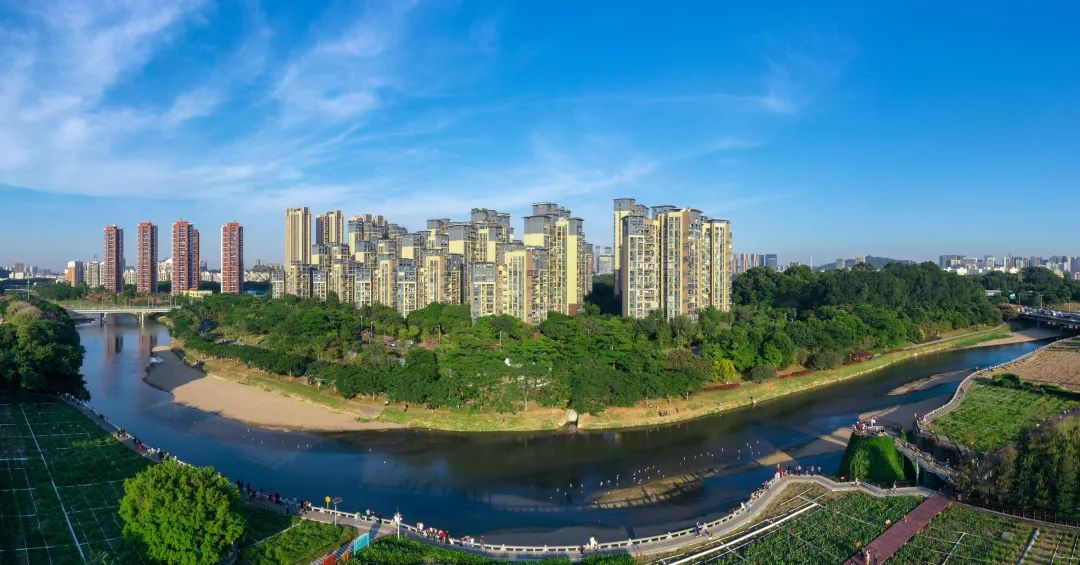 1080x565_45a4d5b9ac627ab1.jpg