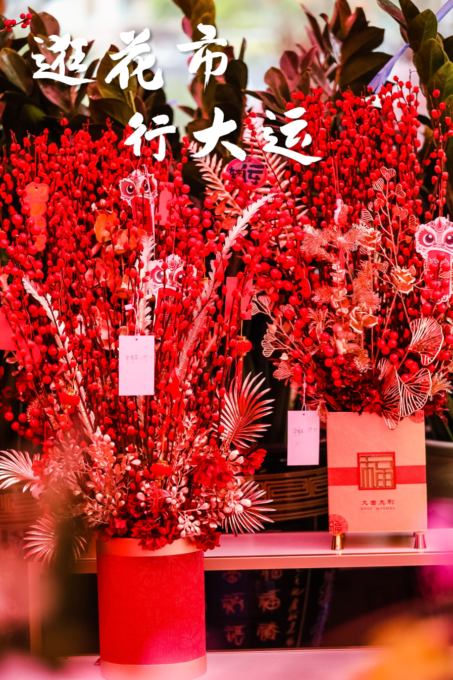 897x1346_3d5272fd6ea9ab1b.jpg