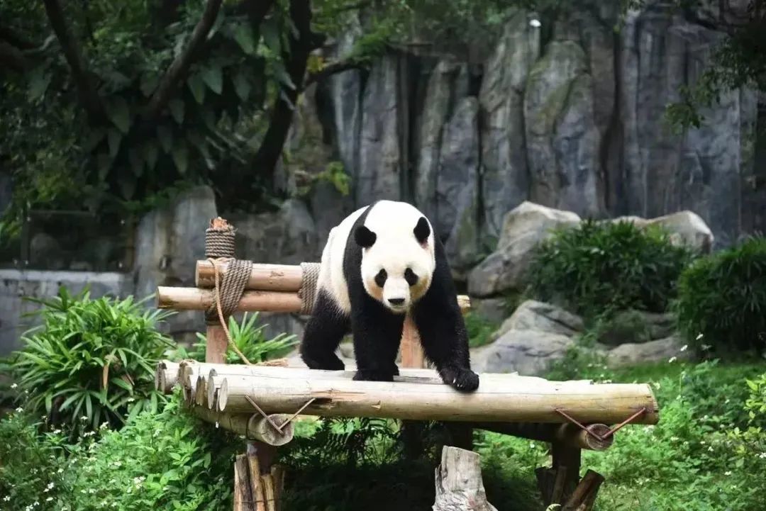 1080x721_c6cba95fc16a5320.jpg
