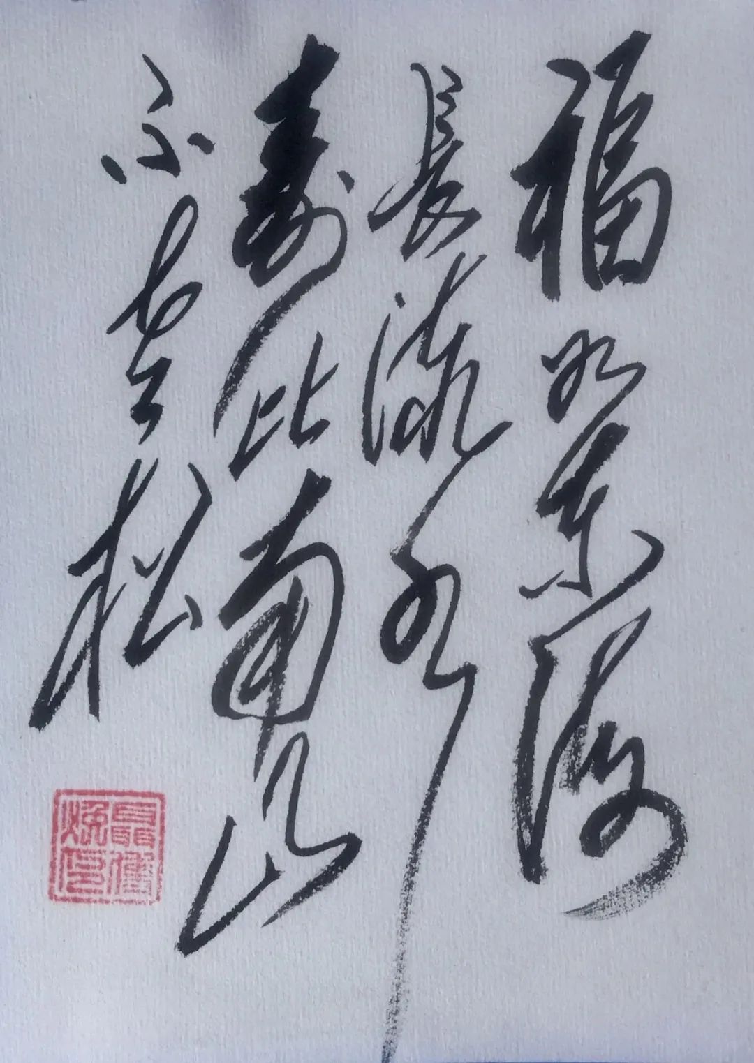 1080x1523_3be8959fc7e1249f.jpg