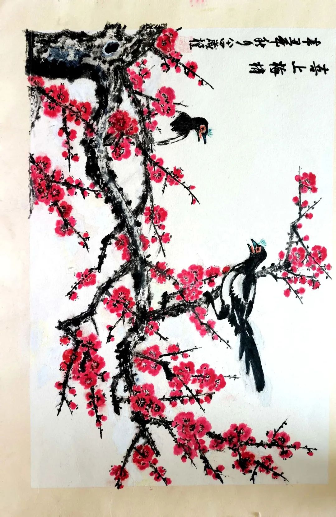 1080x1663_daaa7b3343ec517d.jpg