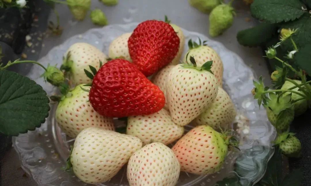 1080x647_4d51f70392cc2275.jpg