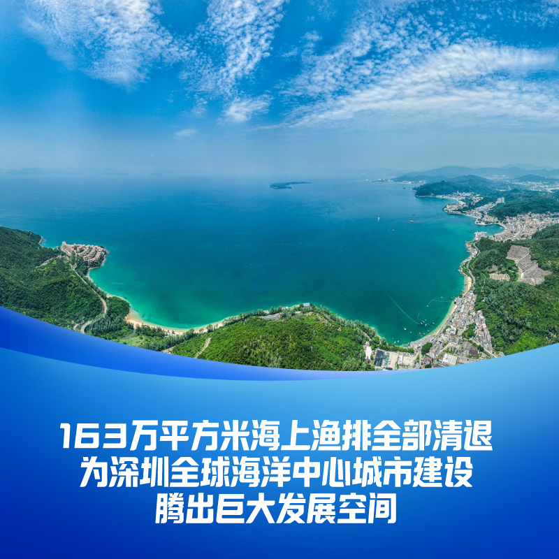 800x800_704011d0c51ce410.jpg