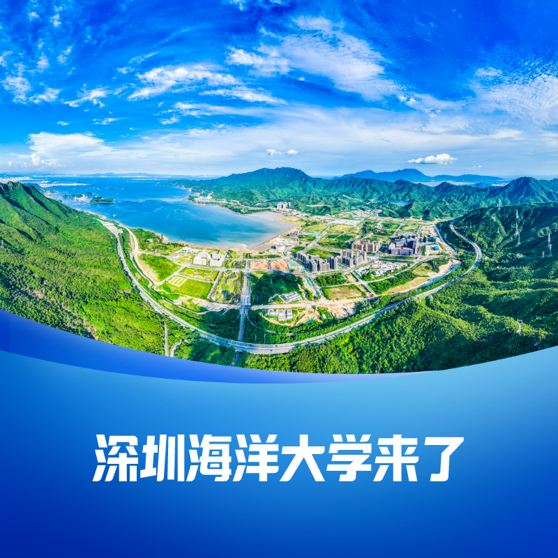 800x800_c7262b62d2ddea18.jpg