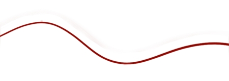 450x160_cdf9e22043ec517d.jpg