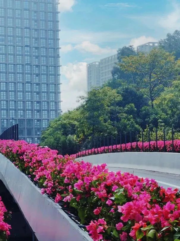 606x810_0b9c49c0d2ddea18.jpg