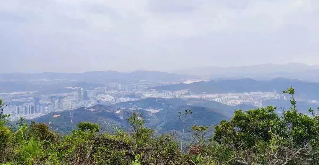 1080x559_3cb88da0a1d0c6e8.jpg