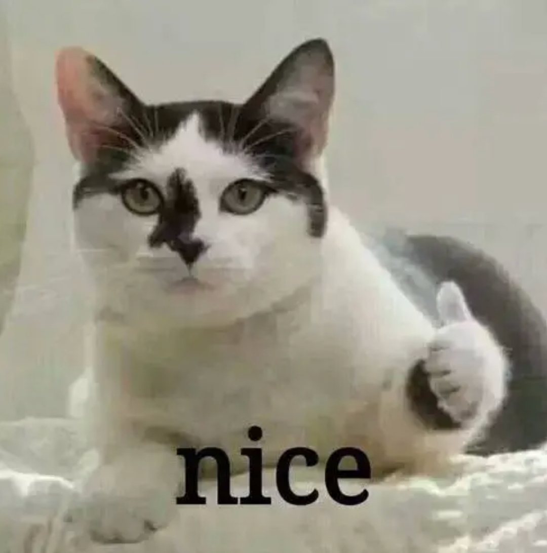 1080x1092_61c89293f899139d.jpg