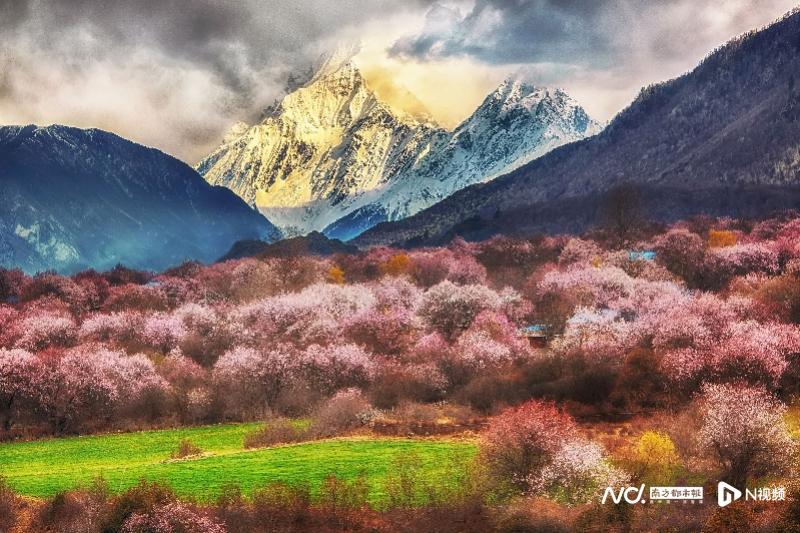 图片图片 pic_1319357