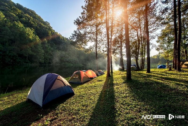 图片图片 pic_1319358