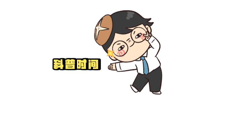 750x381_5fe299ddea5d2f1c.jpg