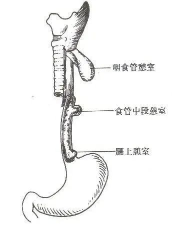 352x459_9b5a64ccc4ca4238.jpg
