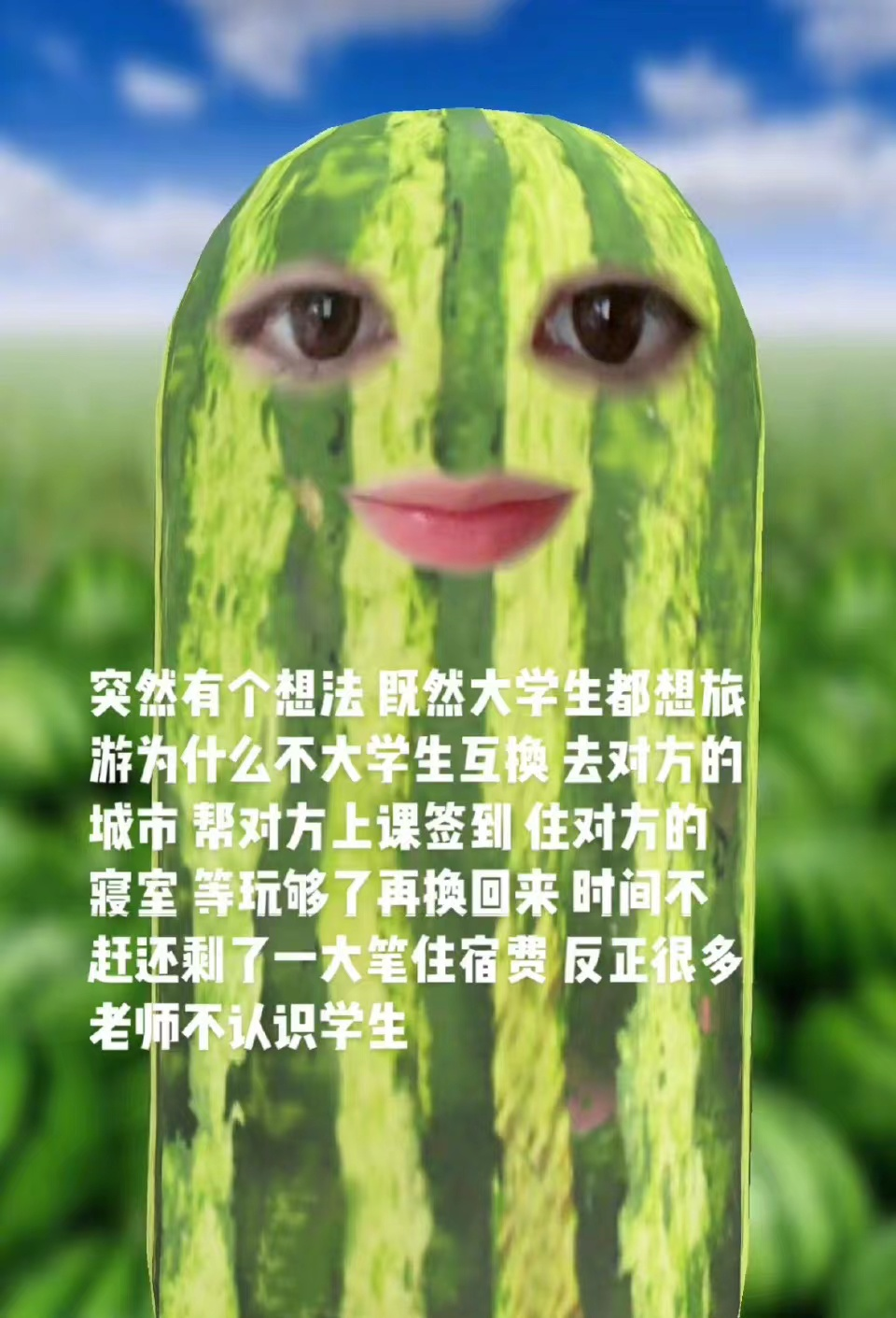 960x1411_537c58589f61408e.jpg