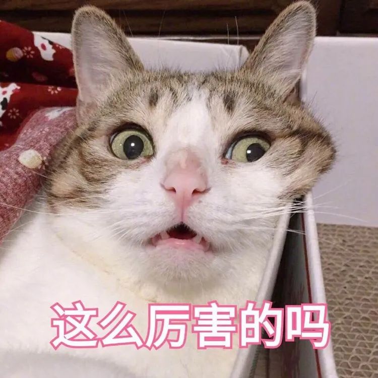 750x750_c4b8fc4919ca14e7.jpg