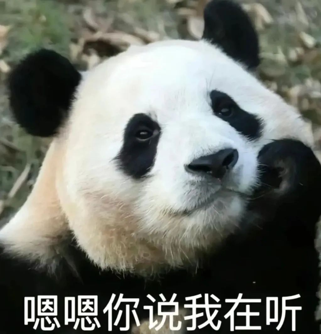 1022x1064_acb19acd02e74f10.jpg