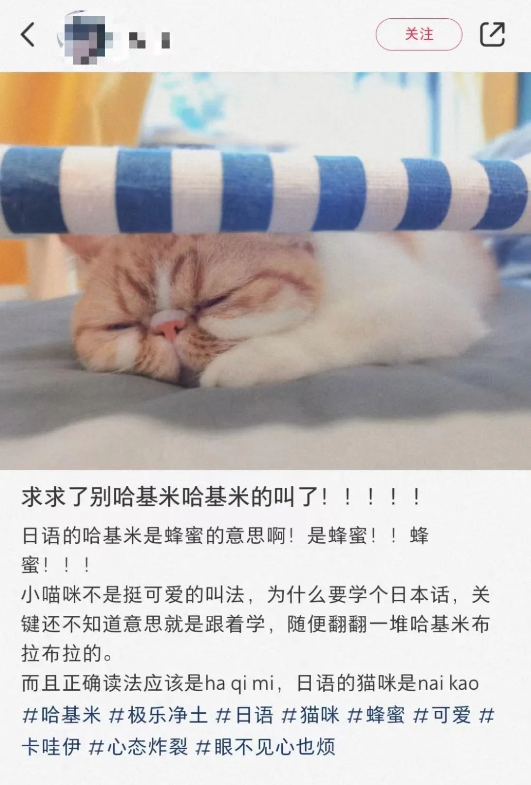 1080x1598_a66c32cb9f61408e.jpg