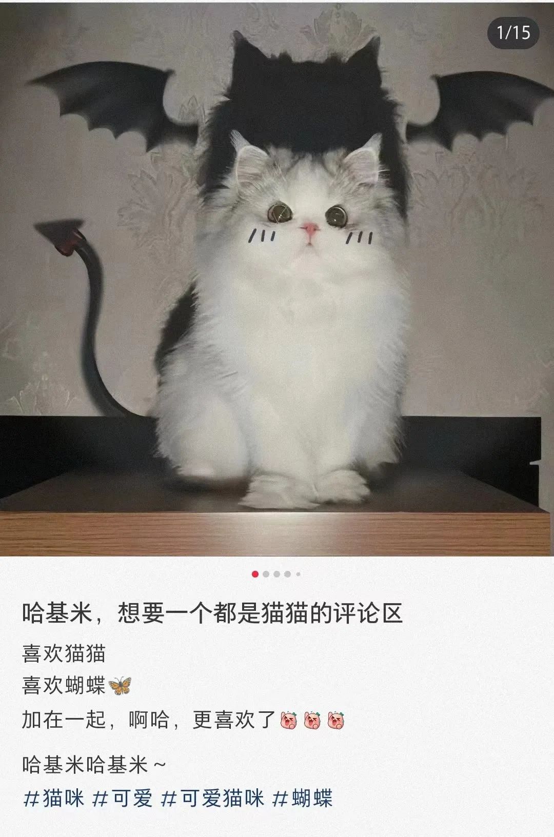 1080x1632_8bd33600d1fe173d.jpg