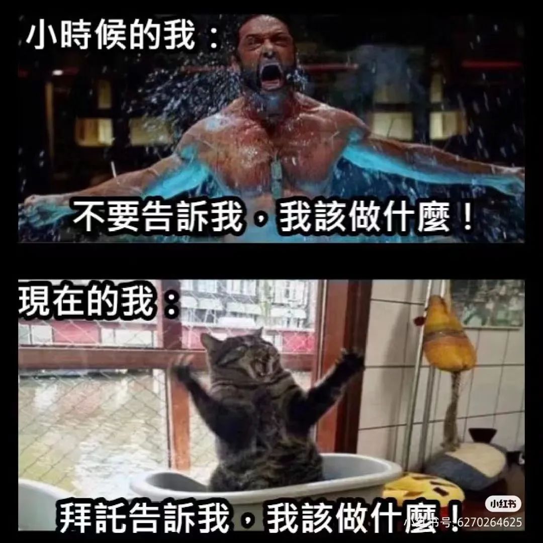 1080x1080_b4fc54aba3f390d8.jpg