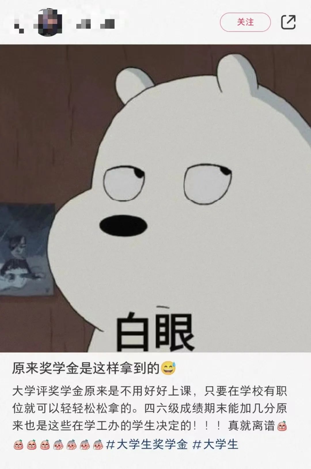 1080x1626_c60ea0c9d9d4f495.jpg