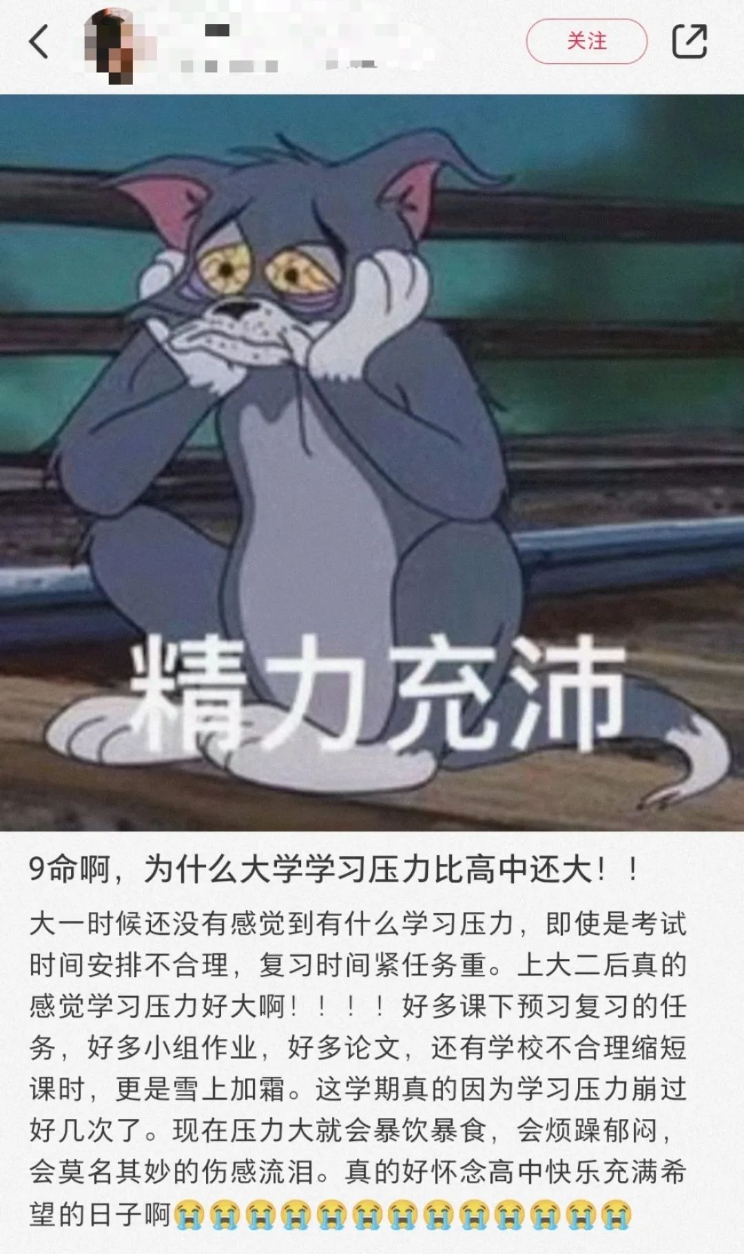 1080x1819_0a6f4aaf1ff1de77.jpg