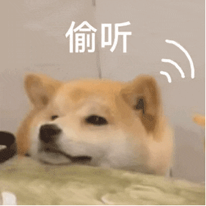 300x300_1a071f4754229abf.jpg
