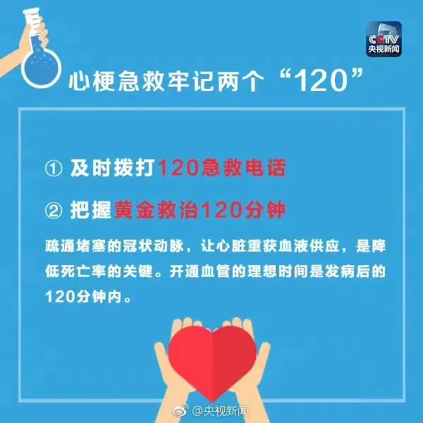 600x600_ced2d08a8e296a06.jpg