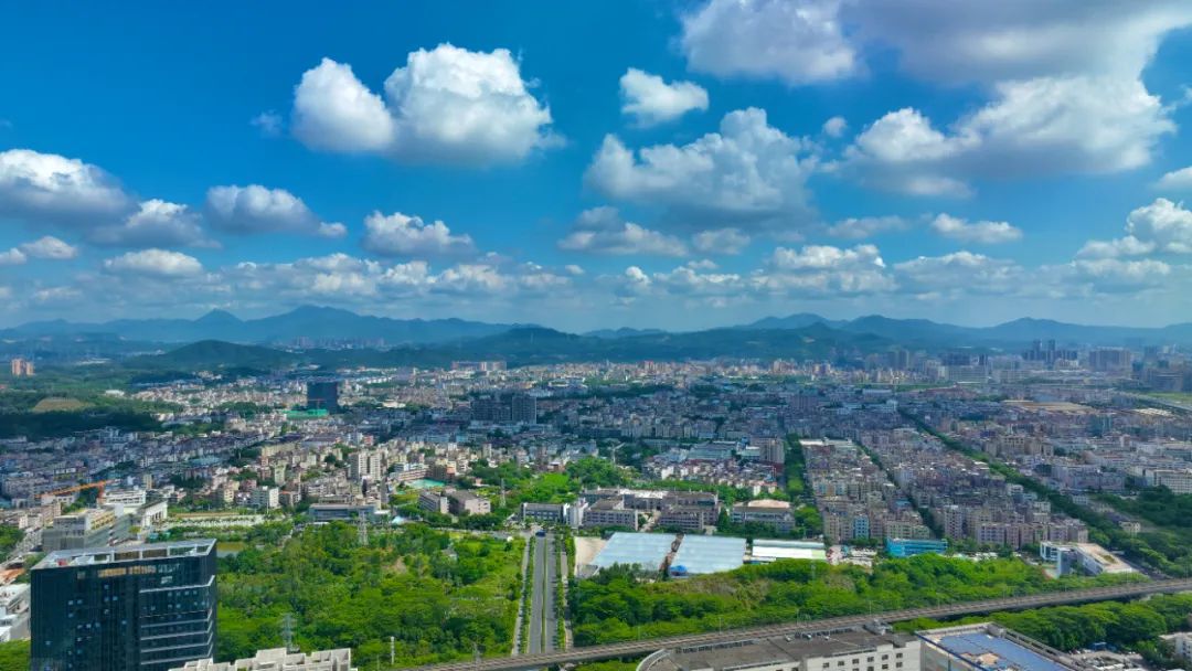 1080x608_988964cb7f39f831.jpg
