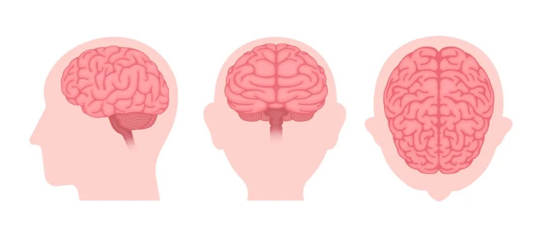 1080x466_1a7e49ea9bf31c7f.jpg