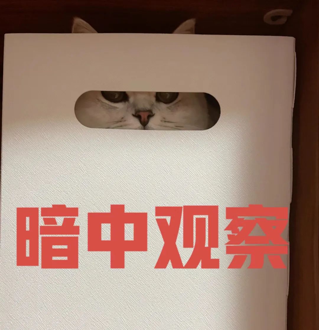 1080x1117_6c8186d098dce83d.jpg