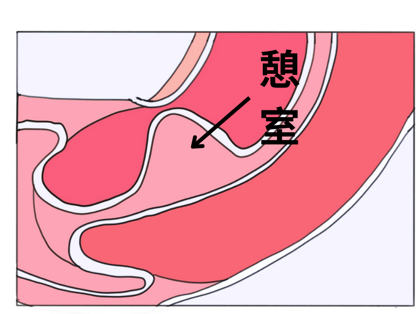 863x646_8950ff8fc4ca4238.jpg