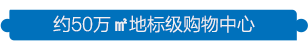 308x50_b2dbf486a684ecee.jpg